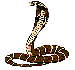 Benutzeravatar