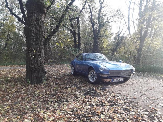 Herbst4.jpg